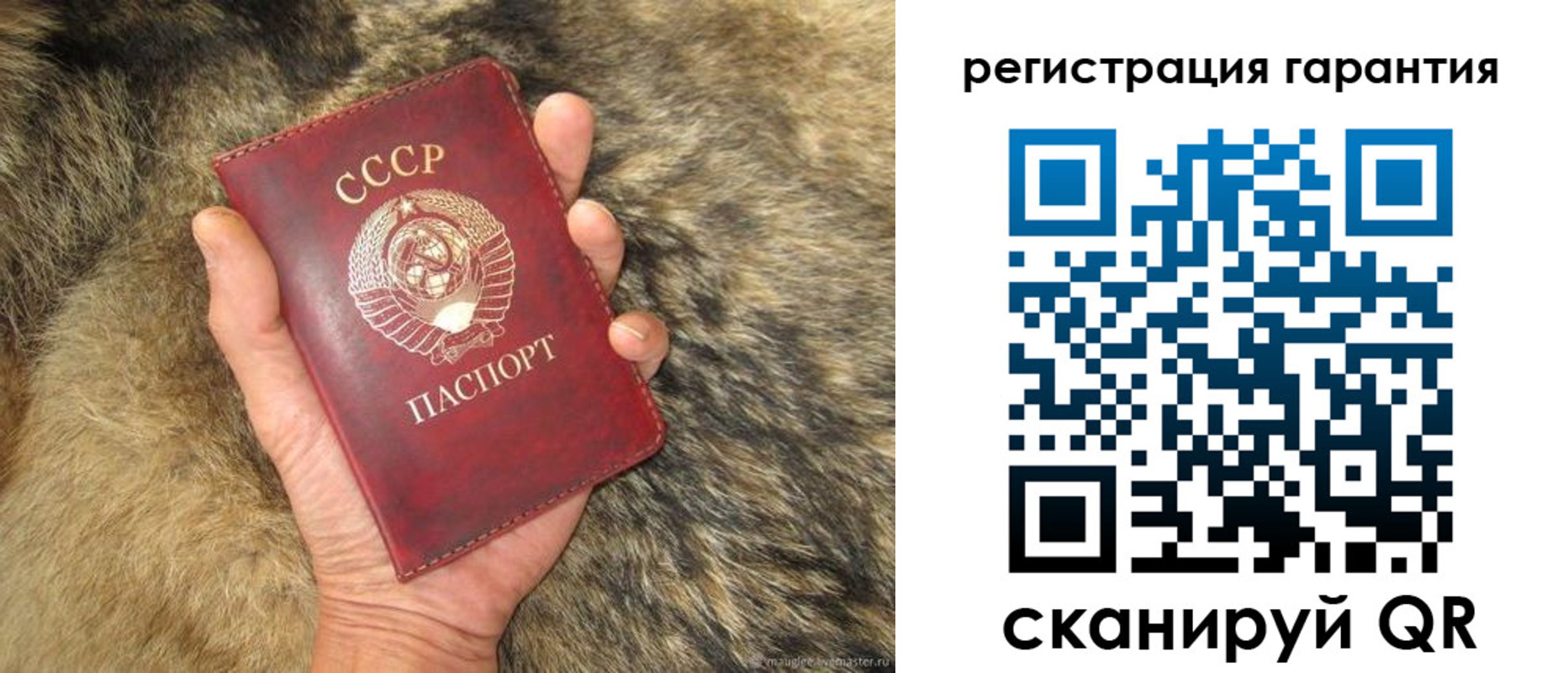 временная прописка в Сертолово
